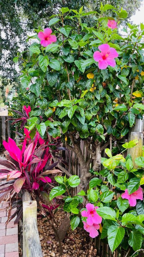 Casa Flamingo Villa Cape Canaveral Kültér fotó